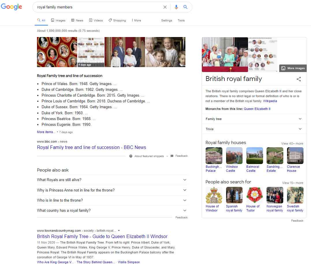 Multiple Google Search Result Types