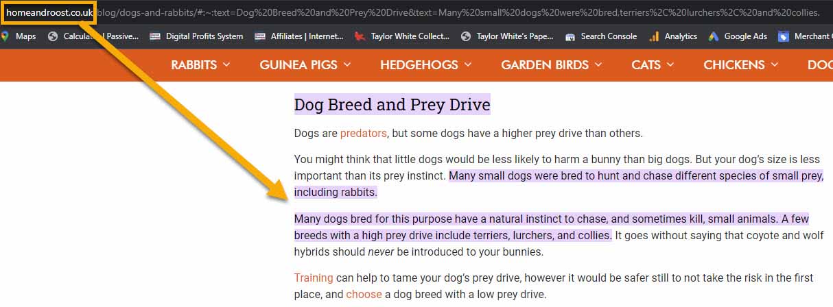 Dog Breed And Prey Drive.