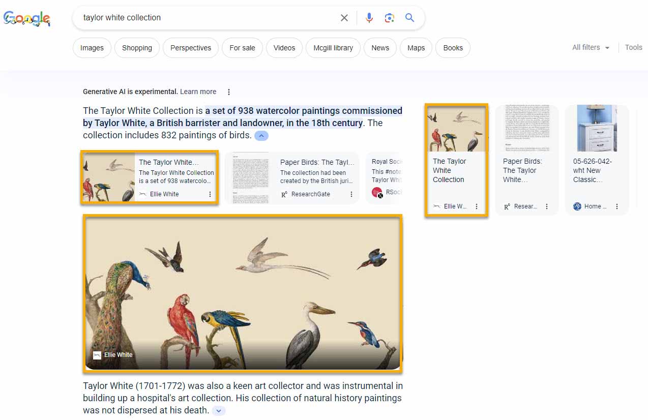Watercolor Painting Of Birds By Taylor White, Showcasing Vibrant Colours And Detailed Brushwork.