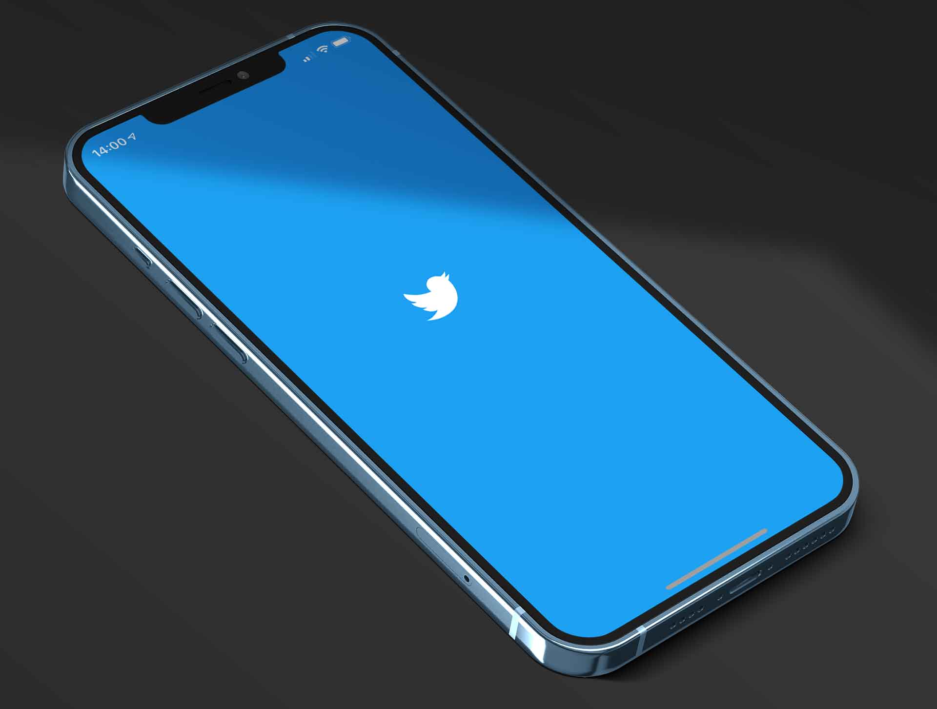 Social Media Management Services